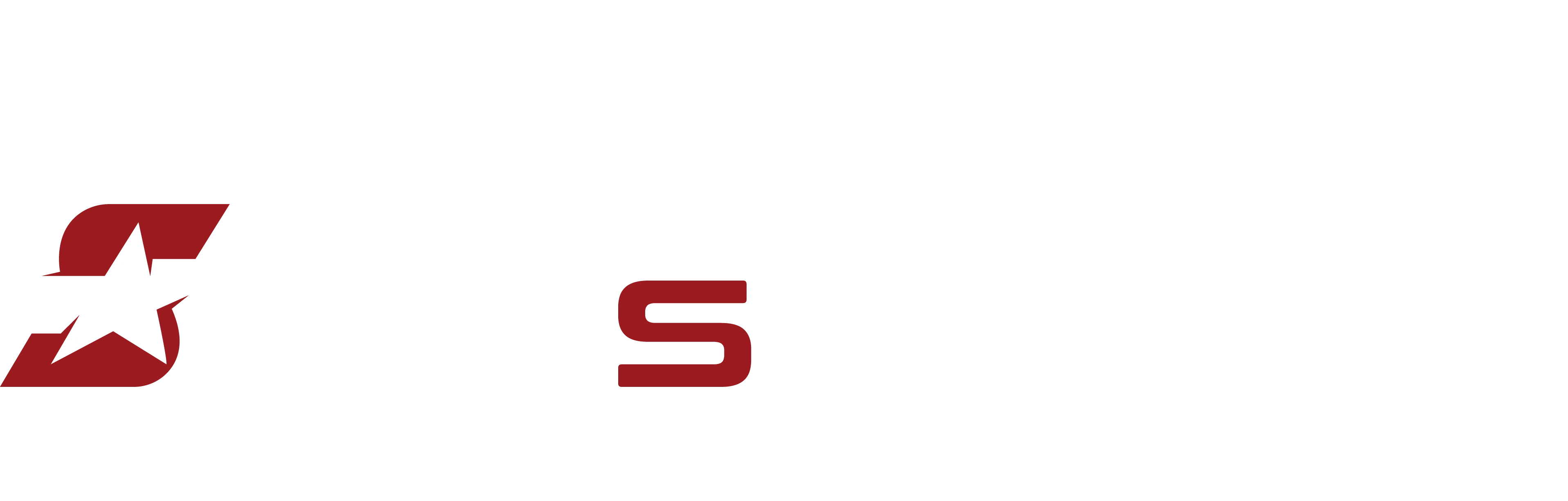 Star Steel Logo